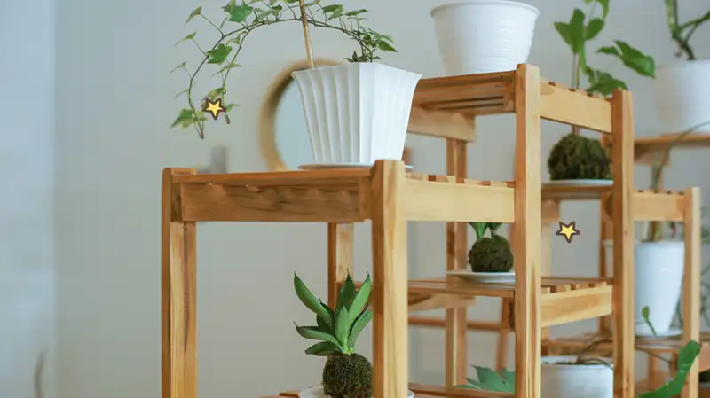 Menambahkan Sentuhan Segar Melalui Tanaman Rumah